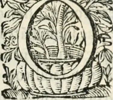 An illustration from O principe dos patriarcas S. Bento : primeiro[-segundo] tomo de sua vida, 1683, leaf 292