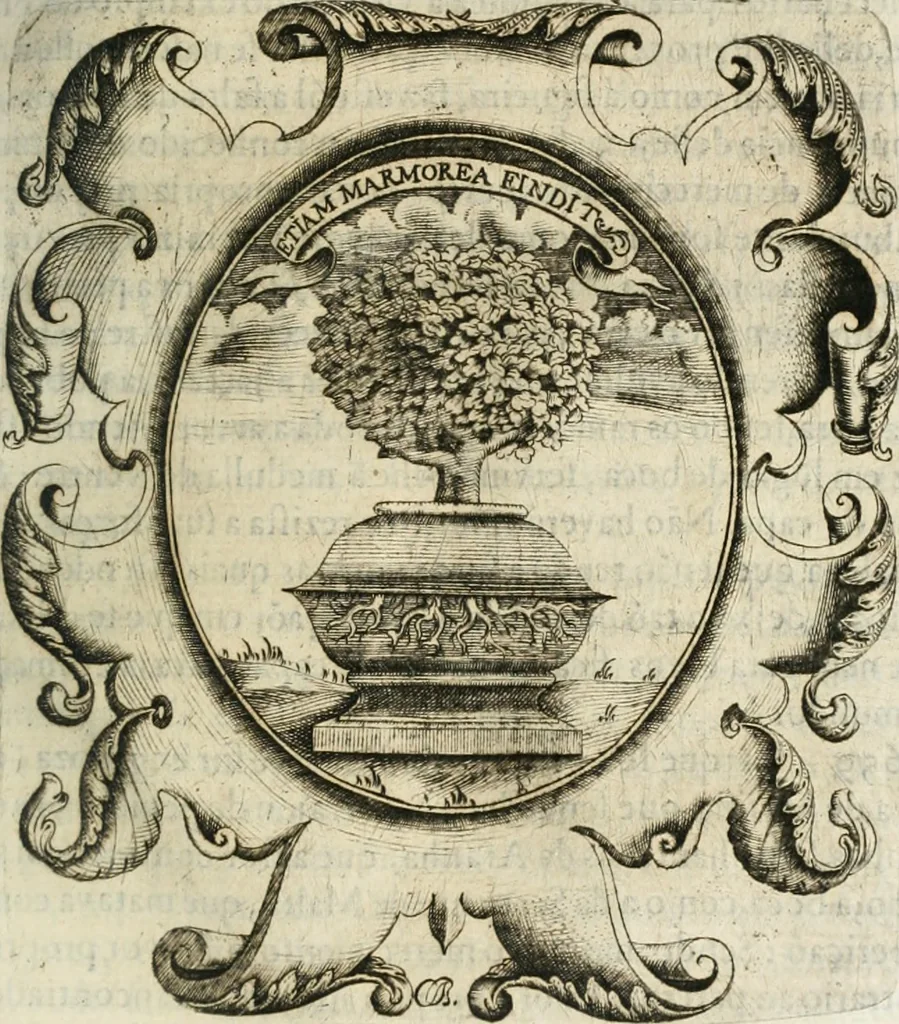 An illustration from O principe dos patriarcas S. Bento : primeiro[-segundo] tomo de sua vida, 1683, leaf 310