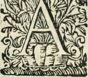 An illustration from O principe dos patriarcas S. Bento : primeiro[-segundo] tomo de sua vida, 1683, leaf 310