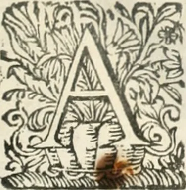 An illustration from O principe dos patriarcas S. Bento : primeiro[-segundo] tomo de sua vida, 1683, leaf 38