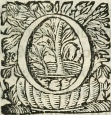 An illustration from O principe dos patriarcas S. Bento : primeiro[-segundo] tomo de sua vida, 1683, leaf 8
