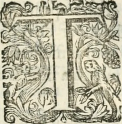 An illustration from O principe dos patriarcas S. Bento : primeiro[-segundo] tomo de sua vida, 1683, leaf 94
