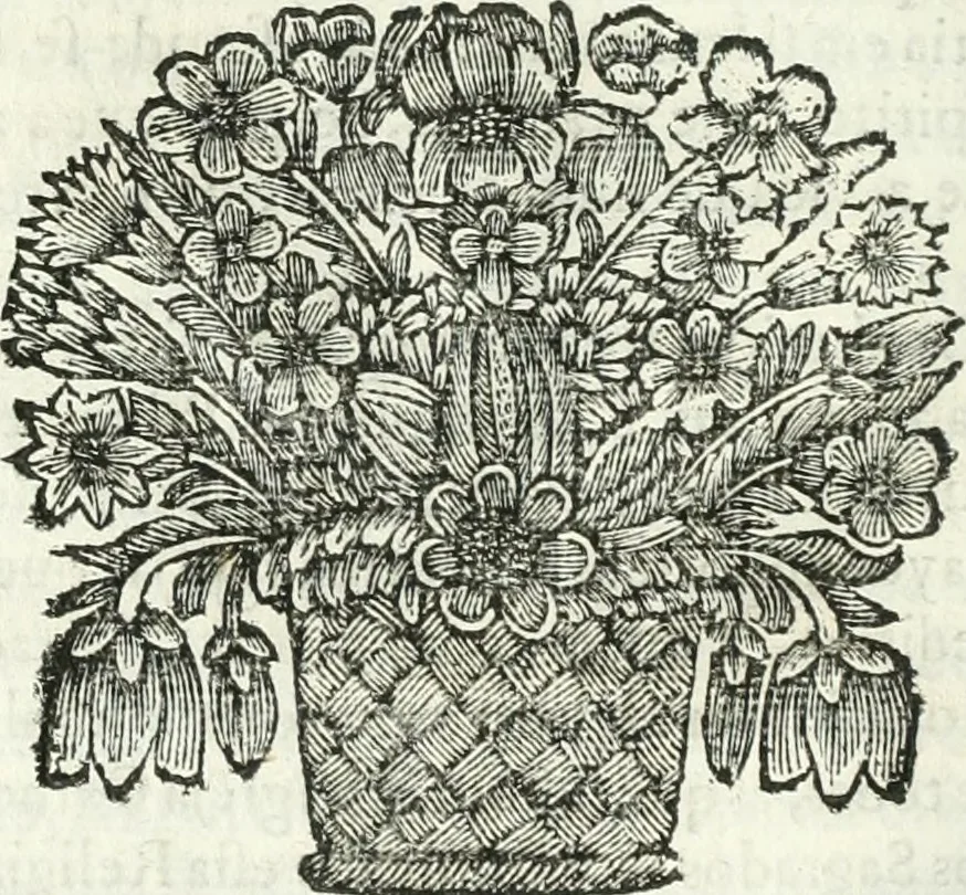 An illustration from O principe dos patriarcas S. Bento : primeiro[-segundo] tomo de sua vida, 1683, leaf 167