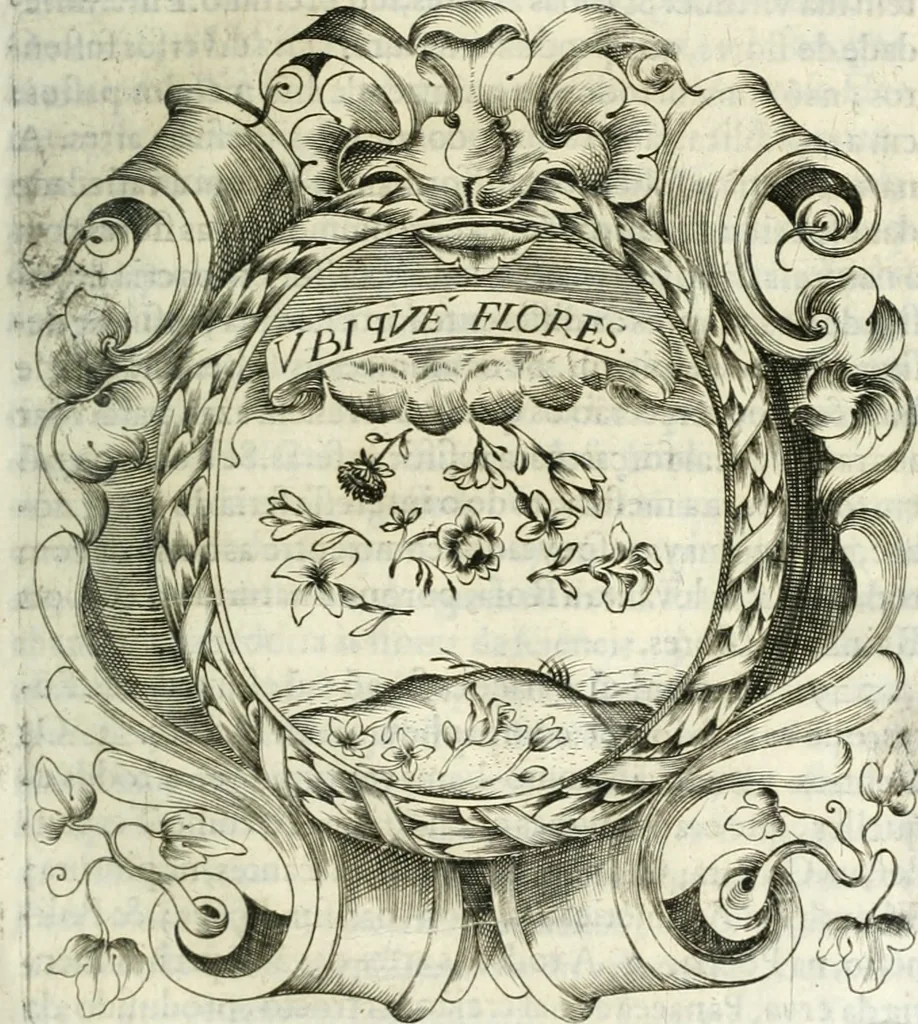 An illustration from O principe dos patriarcas S. Bento : primeiro[-segundo] tomo de sua vida, 1683, leaf 208