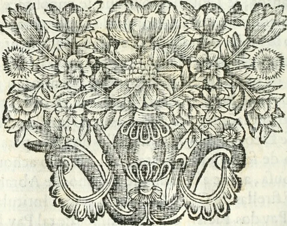 An illustration from O principe dos patriarcas S. Bento : primeiro[-segundo] tomo de sua vida, 1683, leaf 269