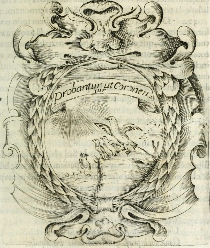 An illustration from O principe dos patriarcas S. Bento : primeiro[-segundo] tomo de sua vida, 1683, leaf 270
