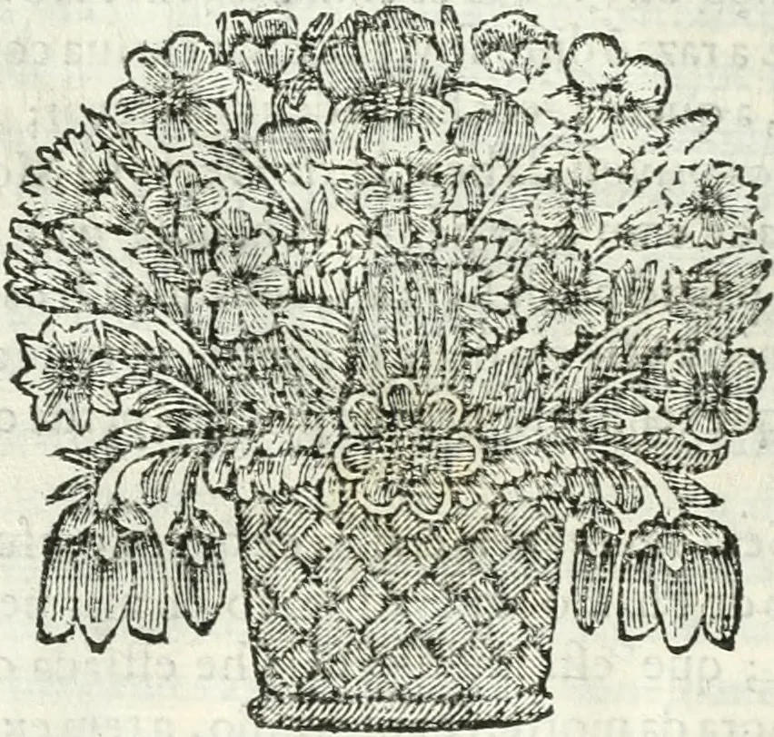 An illustration from O principe dos patriarcas S. Bento : primeiro[-segundo] tomo de sua vida, 1683, leaf 287