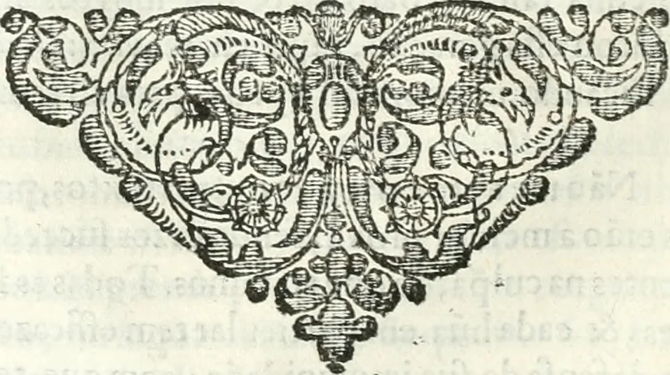 An illustration from O principe dos patriarcas S. Bento : primeiro[-segundo] tomo de sua vida, 1683, leaf 303