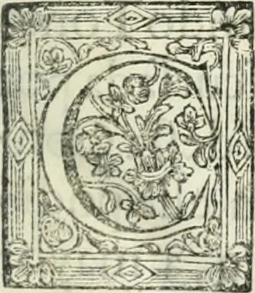 An illustration from O principe dos patriarcas S. Bento : primeiro[-segundo] tomo de sua vida, 1683, leaf 6