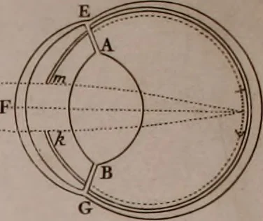 An illustration from Opticks: or, A treatise of the reflections, refractions, inflexions and colours of light. Also two treatises of the species and magnitude of curvilinear figures, 1704, leaf 93