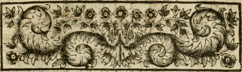 An illustration from Opticks : or, A treatise of the reflections, refractions, inflections and colours of light, 1730, leaf 208