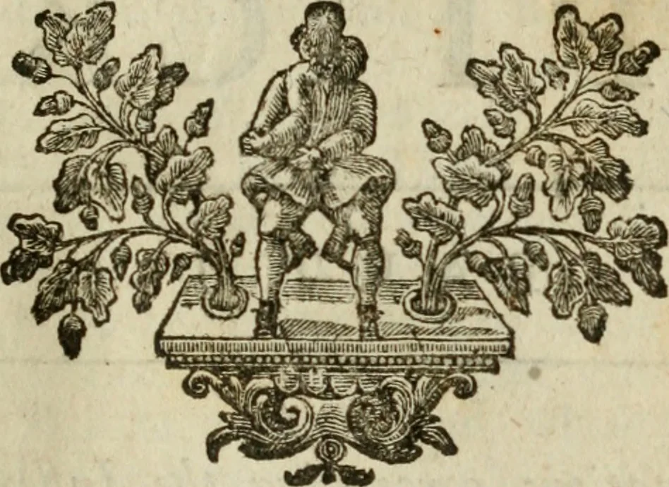 An illustration from Opticks : or, A treatise of the reflections, refractions, inflections and colours of light, 1730, leaf 300