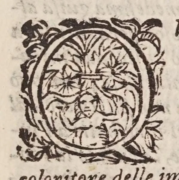 An illustration from Opuscoli, 1620, leaf 133
