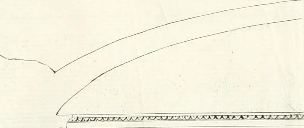 An illustration from Opuscoli di Agostino Gerli, 1785, leaf 74