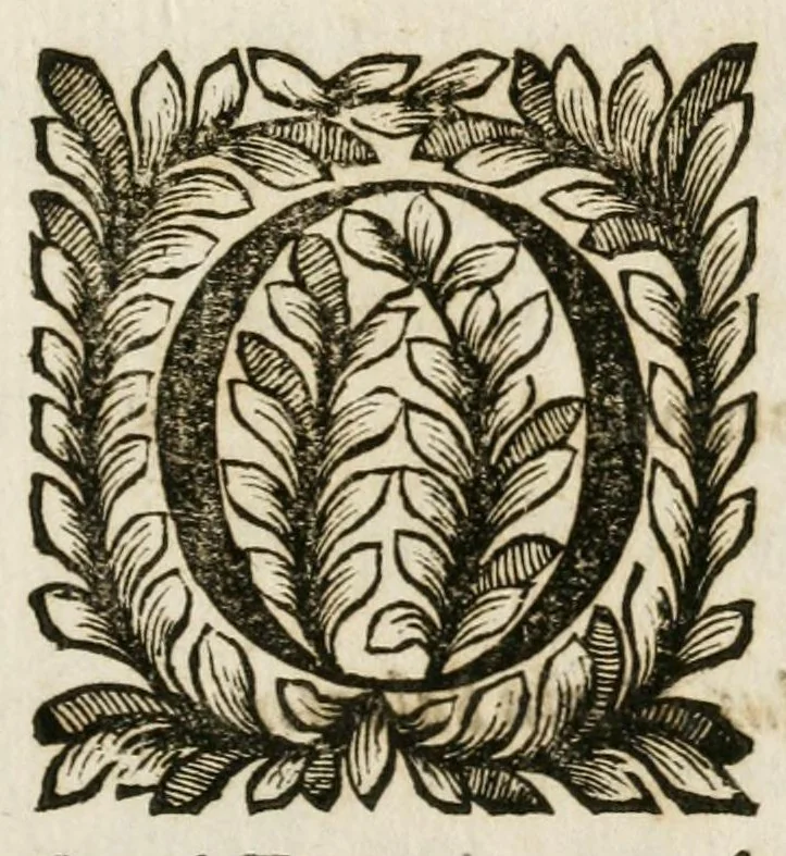 An illustration from Opuscula a fratre Angelo Maria de Saluatoribus Cremonense ord. Seruor. B.M.V. clerico professo elaborata : partim ob ingressum sponsae regalis Franciscae Borboniae in Taurinum, et partim in Academia Incultorum recitata, 1663, leaf 5