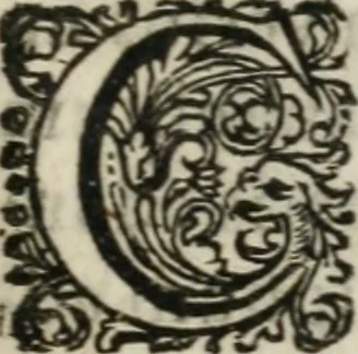 An illustration from Opuscula varia posthuma, philosophica, civilia, et theologica. Nunc primum edita, 1658, leaf 148