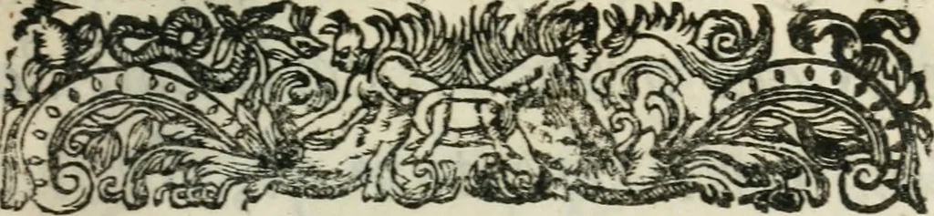 An illustration from Opuscula varia posthuma, philosophica, civilia, et theologica. Nunc primum edita, 1658, leaf 36