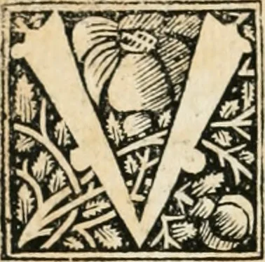 An illustration from Opusculu de mirabilibus noue et veteris urbis Rome, 1520, leaf 11
