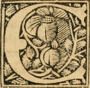 An illustration from Opusculu de mirabilibus noue et veteris urbis Rome, 1520, leaf 8