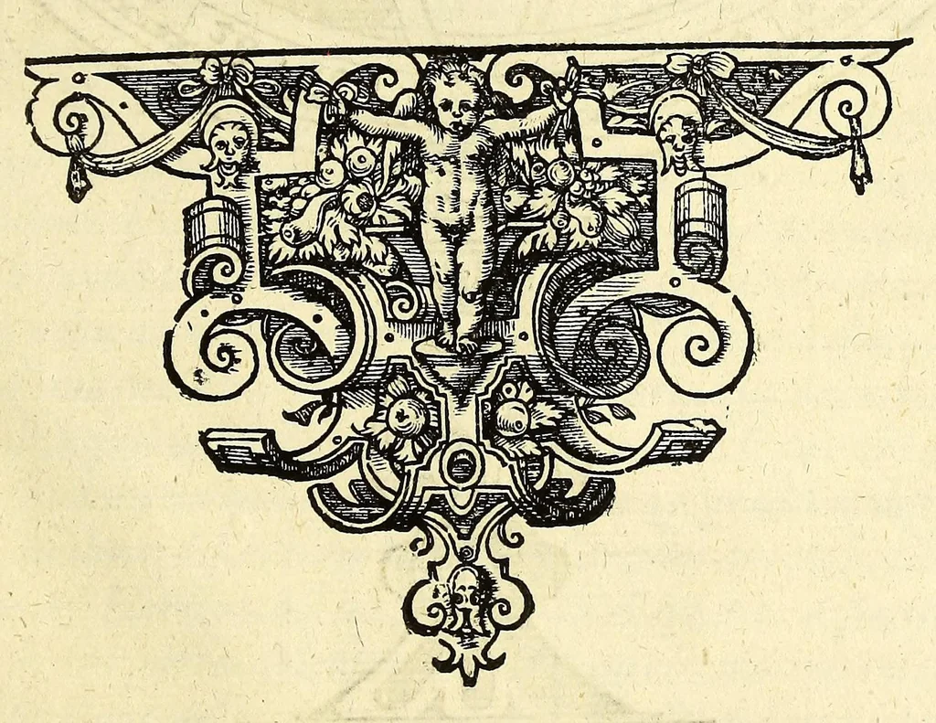 An illustration from Opusculum geographicum rarum, : totius eius negotii rationem, mira industria et breuitate complectens, iam recens ex diuersorum libris ac chartis, summa cura ac diligentia collectum & publicatum,, 1590, leaf 21
