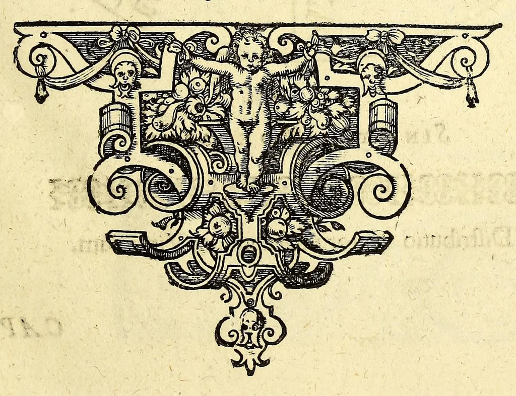 An illustration from Opusculum geographicum rarum, : totius eius negotii rationem, mira industria et breuitate complectens, iam recens ex diuersorum libris ac chartis, summa cura ac diligentia collectum & publicatum,, 1590, leaf 35