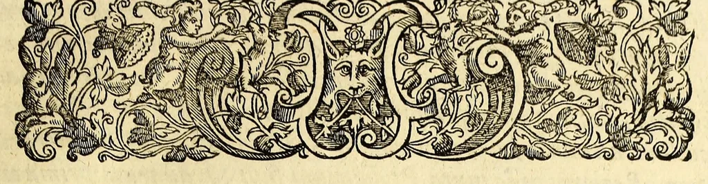 An illustration from Opusculum geographicum rarum, : totius eius negotii rationem, mira industria et breuitate complectens, iam recens ex diuersorum libris ac chartis, summa cura ac diligentia collectum & publicatum,, 1590, leaf 75