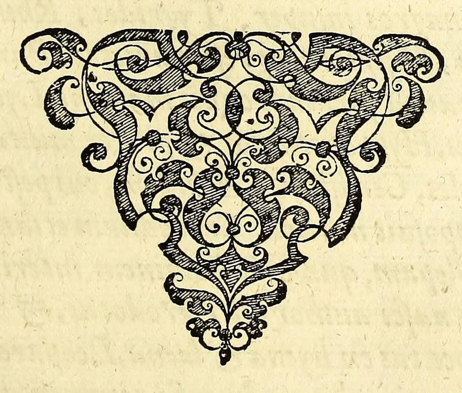 An illustration from Opusculum geographicum rarum, : totius eius negotii rationem, mira industria et breuitate complectens, iam recens ex diuersorum libris ac chartis, summa cura ac diligentia collectum & publicatum,, 1590, leaf 99