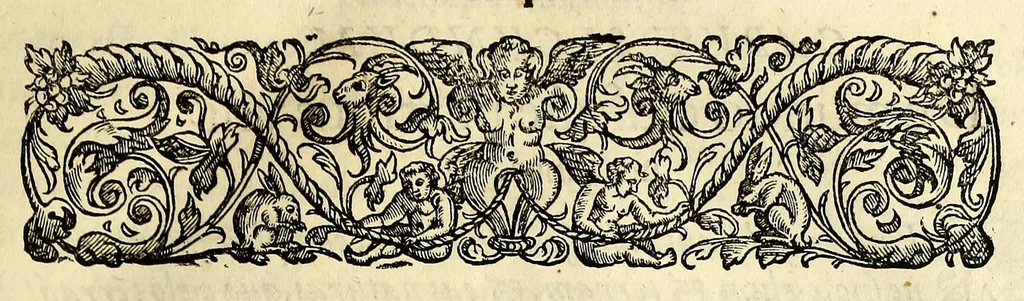 An illustration from Opusculum geographicum rarum, : totius eius negotii rationem, mira industria et breuitate complectens, iam recens ex diuersorum libris ac chartis, summa cura ac diligentia collectum & publicatum,, 1590, leaf 13