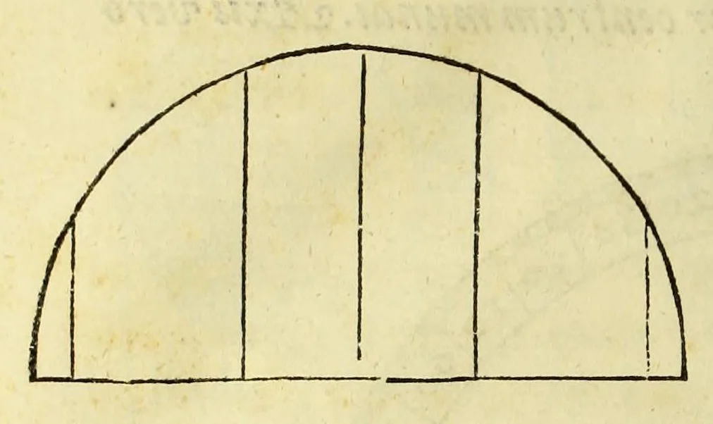 An illustration from Opusculum geographicum rarum, : totius eius negotii rationem, mira industria et breuitate complectens, iam recens ex diuersorum libris ac chartis, summa cura ac diligentia collectum & publicatum,, 1590, leaf 20
