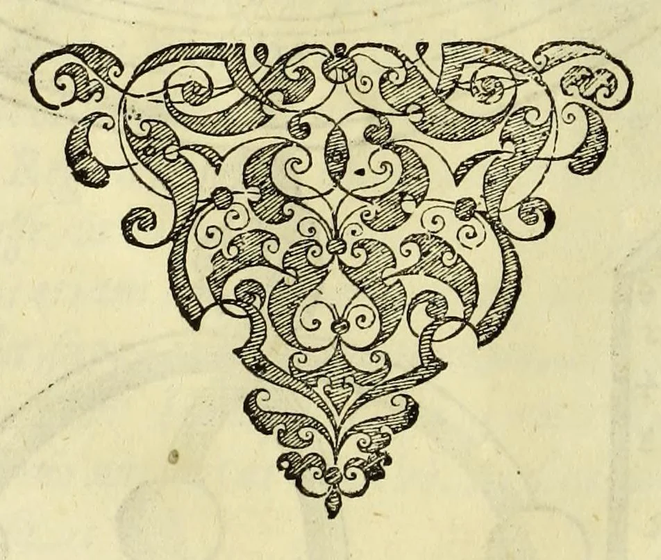 An illustration from Opusculum geographicum rarum, : totius eius negotii rationem, mira industria et breuitate complectens, iam recens ex diuersorum libris ac chartis, summa cura ac diligentia collectum & publicatum,, 1590, leaf 28