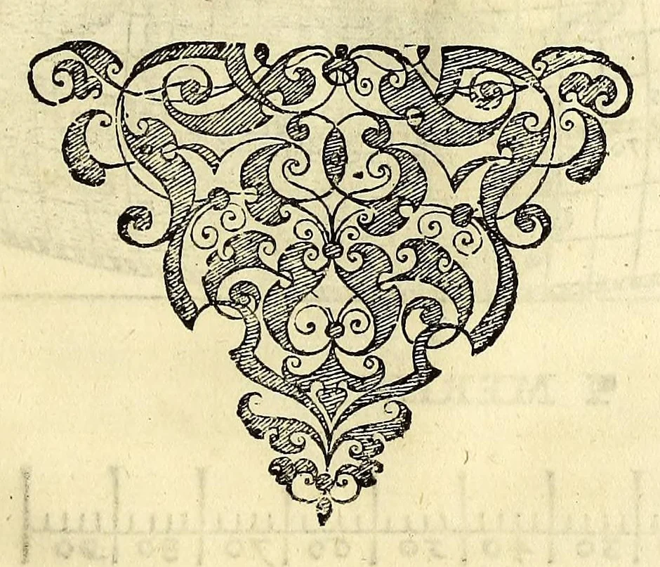 An illustration from Opusculum geographicum rarum, : totius eius negotii rationem, mira industria et breuitate complectens, iam recens ex diuersorum libris ac chartis, summa cura ac diligentia collectum & publicatum,, 1590, leaf 49