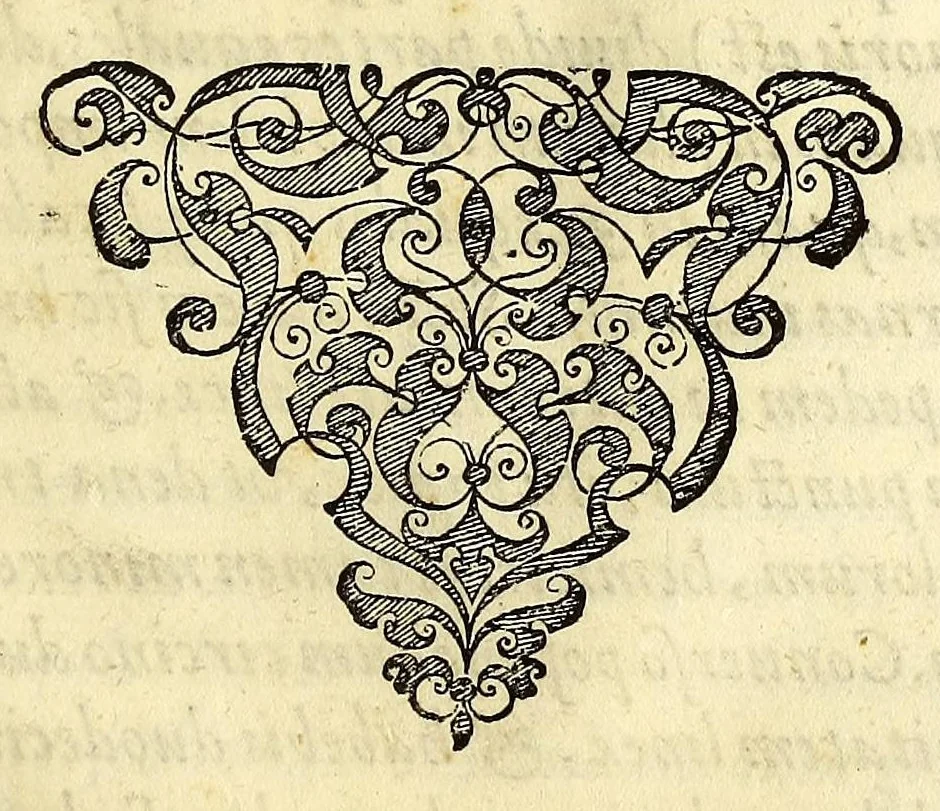 An illustration from Opusculum geographicum rarum, : totius eius negotii rationem, mira industria et breuitate complectens, iam recens ex diuersorum libris ac chartis, summa cura ac diligentia collectum & publicatum,, 1590, leaf 53