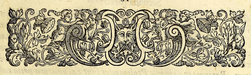 An illustration from Opusculum geographicum rarum, : totius eius negotii rationem, mira industria et breuitate complectens, iam recens ex diuersorum libris ac chartis, summa cura ac diligentia collectum & publicatum,, 1590, leaf 79