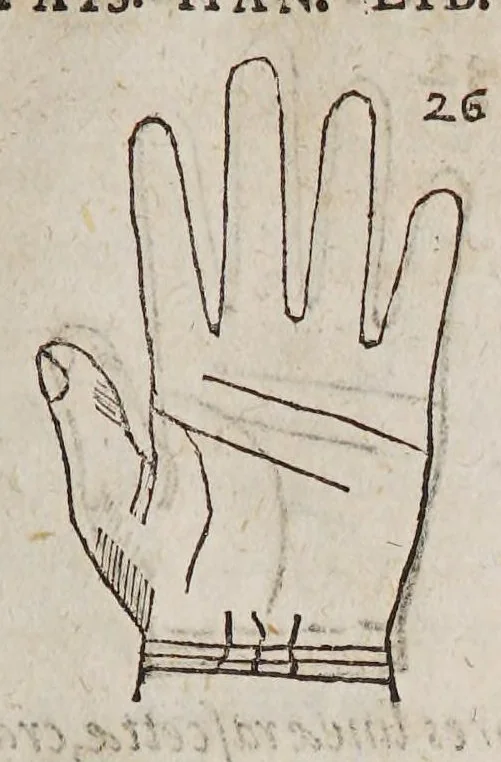 An illustration from Opus mathematicum octo libros complectens, : innumeris propemodum figuris idealibus manuum et physiognomiae, aliisque adornatum, quorum sex priores libri absolutissimae cheiromantiae theoricam, praxim, doctrinam, artem, & experientiam verissimam continent. Septimus physiognomiae dispositionem, hominʹumque omnium qualitates & complexiones. Octauus periaxiomata de faciebus signorum, & quid sol in vnaquaque domo existens, natis polliceatur. Remedia quoque omnium ægritudinum complectitur. Et naturalem astrologiam atq[ue] effectus lunae quoad diuersas ægritudines. Item isagogen astrologiæ iudiciariae, & totius diuinatricis artis encomia. Omnibus matheseos, cheiromantiae, philosophiae, & medicinæ studiosis vtiles ac necessarij., 1583, leaf 125