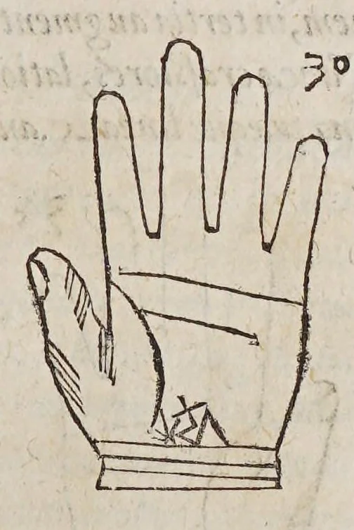 An illustration from Opus mathematicum octo libros complectens, : innumeris propemodum figuris idealibus manuum et physiognomiae, aliisque adornatum, quorum sex priores libri absolutissimae cheiromantiae theoricam, praxim, doctrinam, artem, & experientiam verissimam continent. Septimus physiognomiae dispositionem, hominʹumque omnium qualitates & complexiones. Octauus periaxiomata de faciebus signorum, & quid sol in vnaquaque domo existens, natis polliceatur. Remedia quoque omnium ægritudinum complectitur. Et naturalem astrologiam atq[ue] effectus lunae quoad diuersas ægritudines. Item isagogen astrologiæ iudiciariae, & totius diuinatricis artis encomia. Omnibus matheseos, cheiromantiae, philosophiae, & medicinæ studiosis vtiles ac necessarij., 1583, leaf 125
