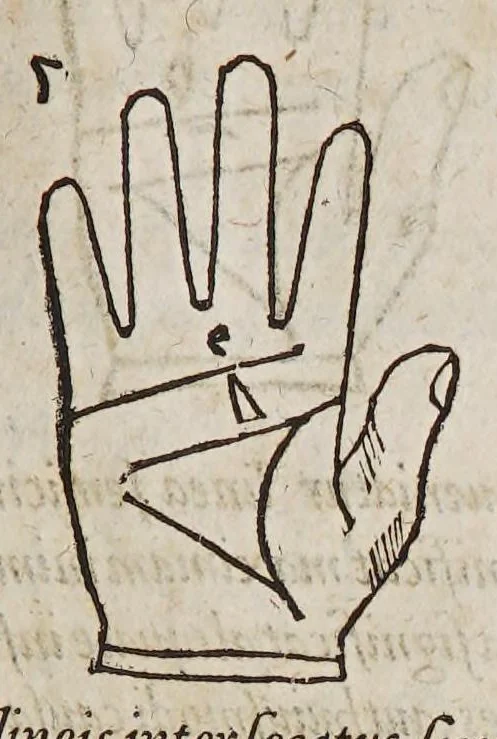 An illustration from Opus mathematicum octo libros complectens, : innumeris propemodum figuris idealibus manuum et physiognomiae, aliisque adornatum, quorum sex priores libri absolutissimae cheiromantiae theoricam, praxim, doctrinam, artem, & experientiam verissimam continent. Septimus physiognomiae dispositionem, hominʹumque omnium qualitates & complexiones. Octauus periaxiomata de faciebus signorum, & quid sol in vnaquaque domo existens, natis polliceatur. Remedia quoque omnium ægritudinum complectitur. Et naturalem astrologiam atq[ue] effectus lunae quoad diuersas ægritudines. Item isagogen astrologiæ iudiciariae, & totius diuinatricis artis encomia. Omnibus matheseos, cheiromantiae, philosophiae, & medicinæ studiosis vtiles ac necessarij., 1583, leaf 141
