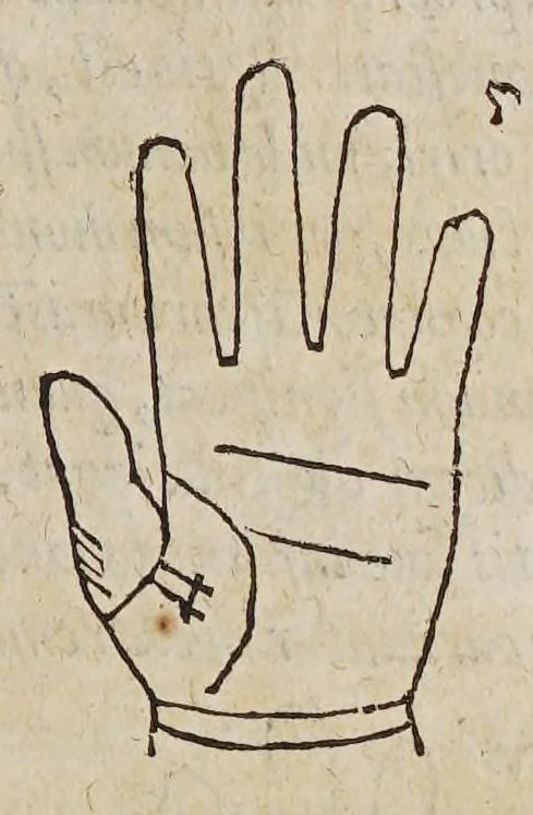 An illustration from Opus mathematicum octo libros complectens, : innumeris propemodum figuris idealibus manuum et physiognomiae, aliisque adornatum, quorum sex priores libri absolutissimae cheiromantiae theoricam, praxim, doctrinam, artem, & experientiam verissimam continent. Septimus physiognomiae dispositionem, hominʹumque omnium qualitates & complexiones. Octauus periaxiomata de faciebus signorum, & quid sol in vnaquaque domo existens, natis polliceatur. Remedia quoque omnium ægritudinum complectitur. Et naturalem astrologiam atq[ue] effectus lunae quoad diuersas ægritudines. Item isagogen astrologiæ iudiciariae, & totius diuinatricis artis encomia. Omnibus matheseos, cheiromantiae, philosophiae, & medicinæ studiosis vtiles ac necessarij., 1583, leaf 149