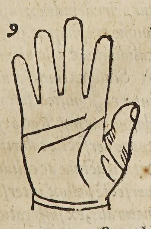 An illustration from Opus mathematicum octo libros complectens, : innumeris propemodum figuris idealibus manuum et physiognomiae, aliisque adornatum, quorum sex priores libri absolutissimae cheiromantiae theoricam, praxim, doctrinam, artem, & experientiam verissimam continent. Septimus physiognomiae dispositionem, hominʹumque omnium qualitates & complexiones. Octauus periaxiomata de faciebus signorum, & quid sol in vnaquaque domo existens, natis polliceatur. Remedia quoque omnium ægritudinum complectitur. Et naturalem astrologiam atq[ue] effectus lunae quoad diuersas ægritudines. Item isagogen astrologiæ iudiciariae, & totius diuinatricis artis encomia. Omnibus matheseos, cheiromantiae, philosophiae, & medicinæ studiosis vtiles ac necessarij., 1583, leaf 149