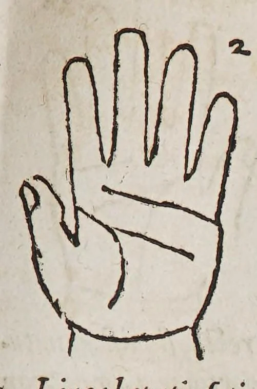 An illustration from Opus mathematicum octo libros complectens, : innumeris propemodum figuris idealibus manuum et physiognomiae, aliisque adornatum, quorum sex priores libri absolutissimae cheiromantiae theoricam, praxim, doctrinam, artem, & experientiam verissimam continent. Septimus physiognomiae dispositionem, hominʹumque omnium qualitates & complexiones. Octauus periaxiomata de faciebus signorum, & quid sol in vnaquaque domo existens, natis polliceatur. Remedia quoque omnium ægritudinum complectitur. Et naturalem astrologiam atq[ue] effectus lunae quoad diuersas ægritudines. Item isagogen astrologiæ iudiciariae, & totius diuinatricis artis encomia. Omnibus matheseos, cheiromantiae, philosophiae, & medicinæ studiosis vtiles ac necessarij., 1583, leaf 223