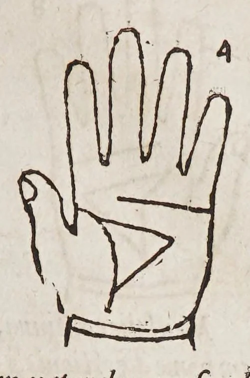 An illustration from Opus mathematicum octo libros complectens, : innumeris propemodum figuris idealibus manuum et physiognomiae, aliisque adornatum, quorum sex priores libri absolutissimae cheiromantiae theoricam, praxim, doctrinam, artem, & experientiam verissimam continent. Septimus physiognomiae dispositionem, hominʹumque omnium qualitates & complexiones. Octauus periaxiomata de faciebus signorum, & quid sol in vnaquaque domo existens, natis polliceatur. Remedia quoque omnium ægritudinum complectitur. Et naturalem astrologiam atq[ue] effectus lunae quoad diuersas ægritudines. Item isagogen astrologiæ iudiciariae, & totius diuinatricis artis encomia. Omnibus matheseos, cheiromantiae, philosophiae, & medicinæ studiosis vtiles ac necessarij., 1583, leaf 223