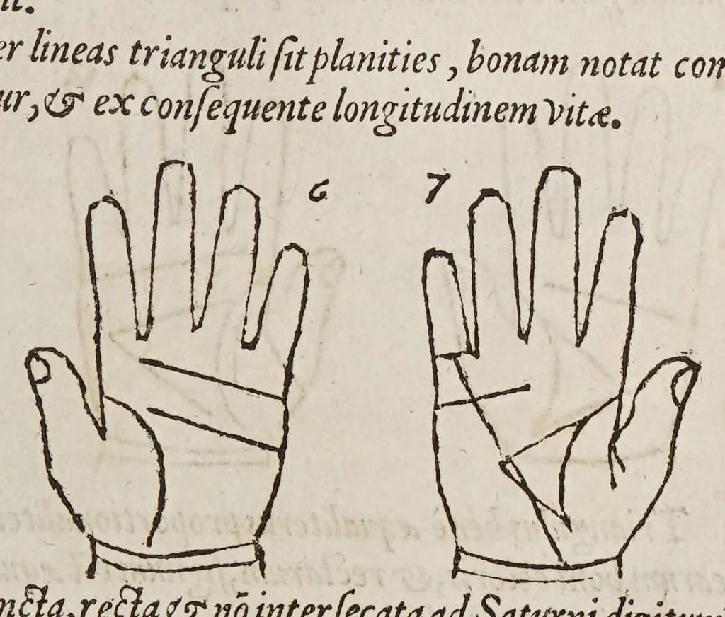 An illustration from Opus mathematicum octo libros complectens, : innumeris propemodum figuris idealibus manuum et physiognomiae, aliisque adornatum, quorum sex priores libri absolutissimae cheiromantiae theoricam, praxim, doctrinam, artem, & experientiam verissimam continent. Septimus physiognomiae dispositionem, hominʹumque omnium qualitates & complexiones. Octauus periaxiomata de faciebus signorum, & quid sol in vnaquaque domo existens, natis polliceatur. Remedia quoque omnium ægritudinum complectitur. Et naturalem astrologiam atq[ue] effectus lunae quoad diuersas ægritudines. Item isagogen astrologiæ iudiciariae, & totius diuinatricis artis encomia. Omnibus matheseos, cheiromantiae, philosophiae, & medicinæ studiosis vtiles ac necessarij., 1583, leaf 223