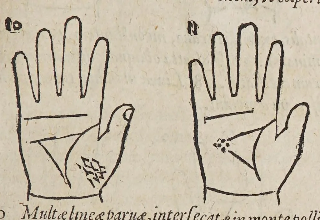 An illustration from Opus mathematicum octo libros complectens, : innumeris propemodum figuris idealibus manuum et physiognomiae, aliisque adornatum, quorum sex priores libri absolutissimae cheiromantiae theoricam, praxim, doctrinam, artem, & experientiam verissimam continent. Septimus physiognomiae dispositionem, hominʹumque omnium qualitates & complexiones. Octauus periaxiomata de faciebus signorum, & quid sol in vnaquaque domo existens, natis polliceatur. Remedia quoque omnium ægritudinum complectitur. Et naturalem astrologiam atq[ue] effectus lunae quoad diuersas ægritudines. Item isagogen astrologiæ iudiciariae, & totius diuinatricis artis encomia. Omnibus matheseos, cheiromantiae, philosophiae, & medicinæ studiosis vtiles ac necessarij., 1583, leaf 237