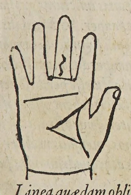 An illustration from Opus mathematicum octo libros complectens, : innumeris propemodum figuris idealibus manuum et physiognomiae, aliisque adornatum, quorum sex priores libri absolutissimae cheiromantiae theoricam, praxim, doctrinam, artem, & experientiam verissimam continent. Septimus physiognomiae dispositionem, hominʹumque omnium qualitates & complexiones. Octauus periaxiomata de faciebus signorum, & quid sol in vnaquaque domo existens, natis polliceatur. Remedia quoque omnium ægritudinum complectitur. Et naturalem astrologiam atq[ue] effectus lunae quoad diuersas ægritudines. Item isagogen astrologiæ iudiciariae, & totius diuinatricis artis encomia. Omnibus matheseos, cheiromantiae, philosophiae, & medicinæ studiosis vtiles ac necessarij., 1583, leaf 237