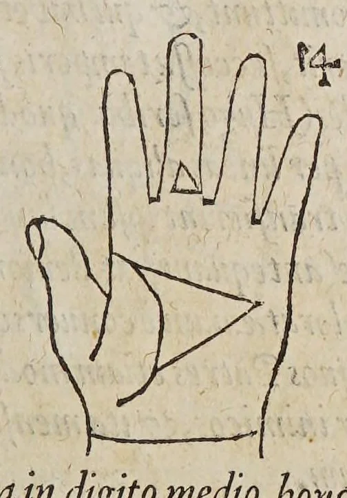 An illustration from Opus mathematicum octo libros complectens, : innumeris propemodum figuris idealibus manuum et physiognomiae, aliisque adornatum, quorum sex priores libri absolutissimae cheiromantiae theoricam, praxim, doctrinam, artem, & experientiam verissimam continent. Septimus physiognomiae dispositionem, hominʹumque omnium qualitates & complexiones. Octauus periaxiomata de faciebus signorum, & quid sol in vnaquaque domo existens, natis polliceatur. Remedia quoque omnium ægritudinum complectitur. Et naturalem astrologiam atq[ue] effectus lunae quoad diuersas ægritudines. Item isagogen astrologiæ iudiciariae, & totius diuinatricis artis encomia. Omnibus matheseos, cheiromantiae, philosophiae, & medicinæ studiosis vtiles ac necessarij., 1583, leaf 237