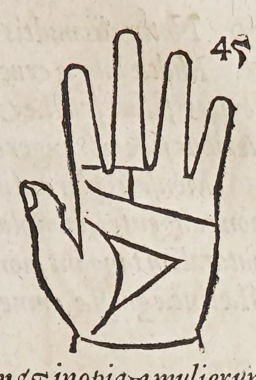 An illustration from Opus mathematicum octo libros complectens, : innumeris propemodum figuris idealibus manuum et physiognomiae, aliisque adornatum, quorum sex priores libri absolutissimae cheiromantiae theoricam, praxim, doctrinam, artem, & experientiam verissimam continent. Septimus physiognomiae dispositionem, hominʹumque omnium qualitates & complexiones. Octauus periaxiomata de faciebus signorum, & quid sol in vnaquaque domo existens, natis polliceatur. Remedia quoque omnium ægritudinum complectitur. Et naturalem astrologiam atq[ue] effectus lunae quoad diuersas ægritudines. Item isagogen astrologiæ iudiciariae, & totius diuinatricis artis encomia. Omnibus matheseos, cheiromantiae, philosophiae, & medicinæ studiosis vtiles ac necessarij., 1583, leaf 259