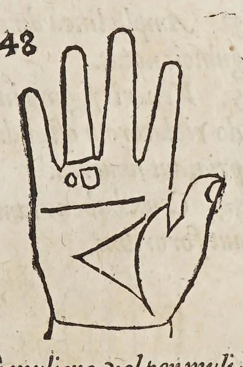 An illustration from Opus mathematicum octo libros complectens, : innumeris propemodum figuris idealibus manuum et physiognomiae, aliisque adornatum, quorum sex priores libri absolutissimae cheiromantiae theoricam, praxim, doctrinam, artem, & experientiam verissimam continent. Septimus physiognomiae dispositionem, hominʹumque omnium qualitates & complexiones. Octauus periaxiomata de faciebus signorum, & quid sol in vnaquaque domo existens, natis polliceatur. Remedia quoque omnium ægritudinum complectitur. Et naturalem astrologiam atq[ue] effectus lunae quoad diuersas ægritudines. Item isagogen astrologiæ iudiciariae, & totius diuinatricis artis encomia. Omnibus matheseos, cheiromantiae, philosophiae, & medicinæ studiosis vtiles ac necessarij., 1583, leaf 259