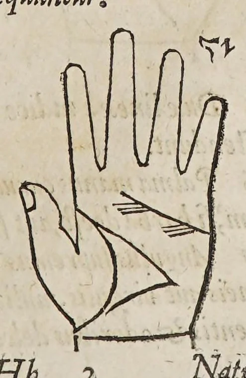 An illustration from Opus mathematicum octo libros complectens, : innumeris propemodum figuris idealibus manuum et physiognomiae, aliisque adornatum, quorum sex priores libri absolutissimae cheiromantiae theoricam, praxim, doctrinam, artem, & experientiam verissimam continent. Septimus physiognomiae dispositionem, hominʹumque omnium qualitates & complexiones. Octauus periaxiomata de faciebus signorum, & quid sol in vnaquaque domo existens, natis polliceatur. Remedia quoque omnium ægritudinum complectitur. Et naturalem astrologiam atq[ue] effectus lunae quoad diuersas ægritudines. Item isagogen astrologiæ iudiciariae, & totius diuinatricis artis encomia. Omnibus matheseos, cheiromantiae, philosophiae, & medicinæ studiosis vtiles ac necessarij., 1583, leaf 259