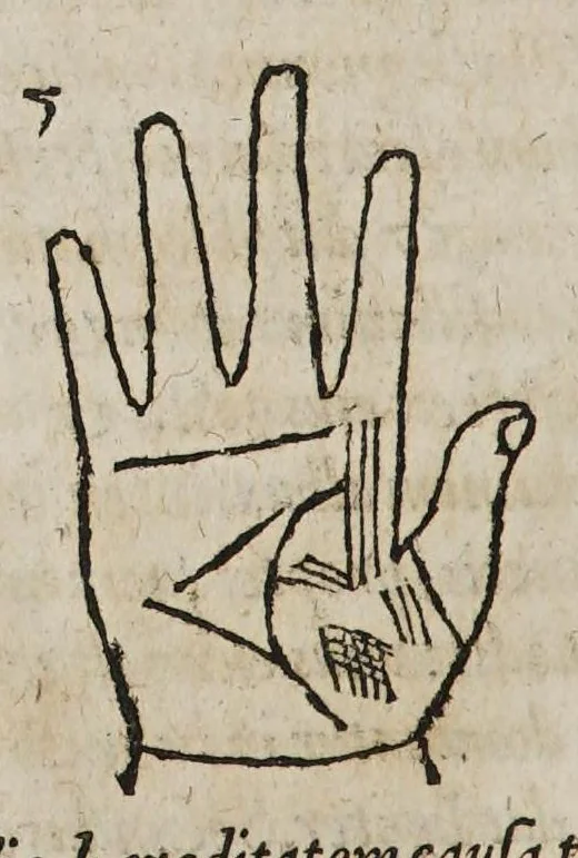 An illustration from Opus mathematicum octo libros complectens, : innumeris propemodum figuris idealibus manuum et physiognomiae, aliisque adornatum, quorum sex priores libri absolutissimae cheiromantiae theoricam, praxim, doctrinam, artem, & experientiam verissimam continent. Septimus physiognomiae dispositionem, hominʹumque omnium qualitates & complexiones. Octauus periaxiomata de faciebus signorum, & quid sol in vnaquaque domo existens, natis polliceatur. Remedia quoque omnium ægritudinum complectitur. Et naturalem astrologiam atq[ue] effectus lunae quoad diuersas ægritudines. Item isagogen astrologiæ iudiciariae, & totius diuinatricis artis encomia. Omnibus matheseos, cheiromantiae, philosophiae, & medicinæ studiosis vtiles ac necessarij., 1583, leaf 266
