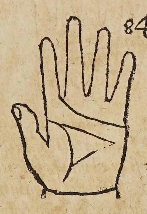 An illustration from Opus mathematicum octo libros complectens, : innumeris propemodum figuris idealibus manuum et physiognomiae, aliisque adornatum, quorum sex priores libri absolutissimae cheiromantiae theoricam, praxim, doctrinam, artem, & experientiam verissimam continent. Septimus physiognomiae dispositionem, hominʹumque omnium qualitates & complexiones. Octauus periaxiomata de faciebus signorum, & quid sol in vnaquaque domo existens, natis polliceatur. Remedia quoque omnium ægritudinum complectitur. Et naturalem astrologiam atq[ue] effectus lunae quoad diuersas ægritudines. Item isagogen astrologiæ iudiciariae, & totius diuinatricis artis encomia. Omnibus matheseos, cheiromantiae, philosophiae, & medicinæ studiosis vtiles ac necessarij., 1583, leaf 299