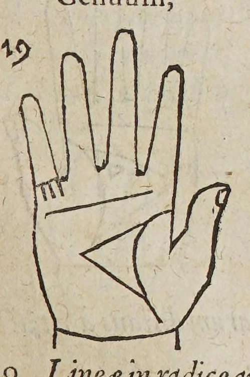 An illustration from Opus mathematicum octo libros complectens, : innumeris propemodum figuris idealibus manuum et physiognomiae, aliisque adornatum, quorum sex priores libri absolutissimae cheiromantiae theoricam, praxim, doctrinam, artem, & experientiam verissimam continent. Septimus physiognomiae dispositionem, hominʹumque omnium qualitates & complexiones. Octauus periaxiomata de faciebus signorum, & quid sol in vnaquaque domo existens, natis polliceatur. Remedia quoque omnium ægritudinum complectitur. Et naturalem astrologiam atq[ue] effectus lunae quoad diuersas ægritudines. Item isagogen astrologiæ iudiciariae, & totius diuinatricis artis encomia. Omnibus matheseos, cheiromantiae, philosophiae, & medicinæ studiosis vtiles ac necessarij., 1583, leaf 307